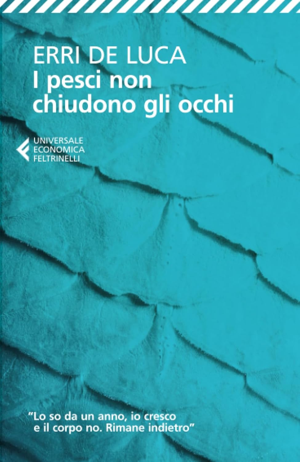 I pesci non chiudono gli occhi